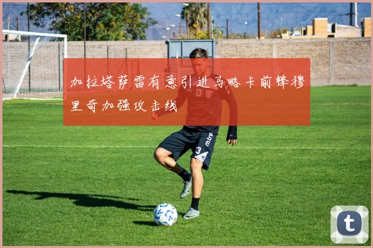 加拉塔萨雷有意引进马略卡前锋穆里奇加强攻击线