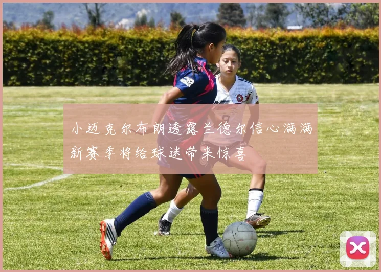 小迈克尔布朗透露兰德尔信心满满新赛季将给球迷带来惊喜