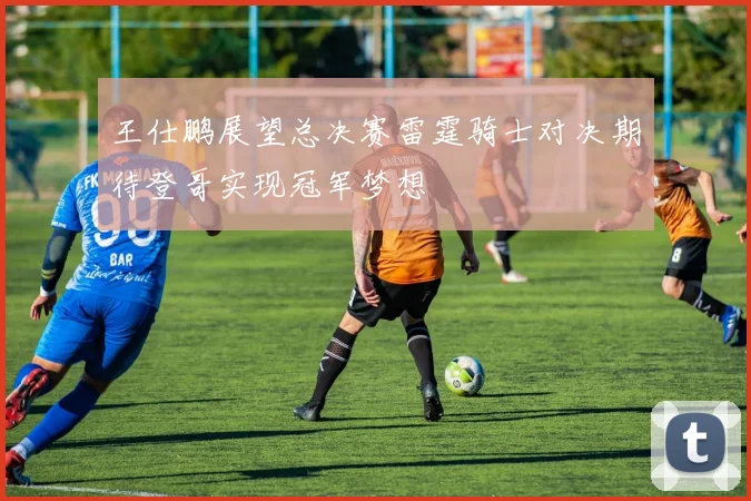 王仕鹏展望总决赛雷霆骑士对决期待登哥实现冠军梦想