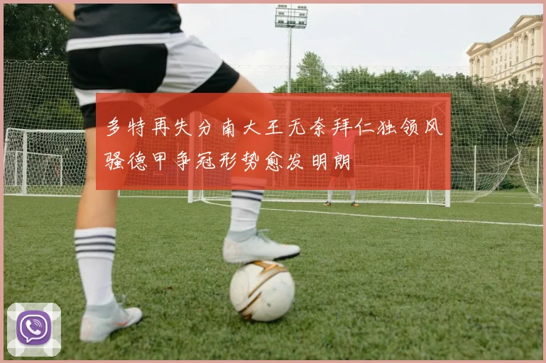 多特再失分南大王无奈拜仁独领风骚德甲争冠形势愈发明朗